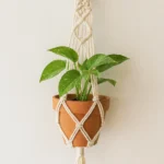 3682e80a 5068 4879 b67c 55443c3aa5aa