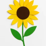 c9f49219 8d32 456a bff4 7436226b0643