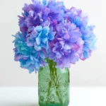 codinofouad httpss.mj .runjNlj1bnMTqM vibrant artificial hydra d3d6b96a bbca 4993 a239 600e37c09f1d 3