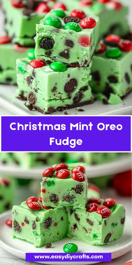 Your paragraph text 12