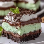 mint chocolate lasagna 2026 04 16 004025 819x1024 1